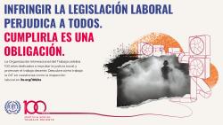 6° Cap&iacute;tulo Interactivo de OIT sobre Trabajo y gobernanza